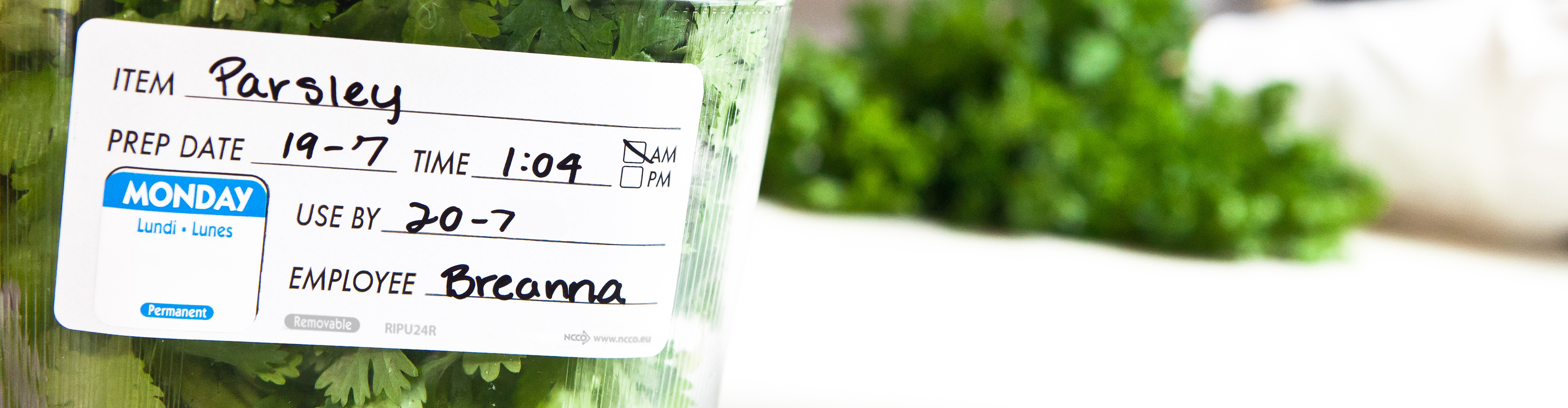 main background image